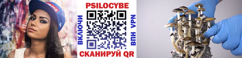 Псилоцибиновые грибы Magic Shrooms  блэк спрут зеркало  Фатеж  купить  сайты 