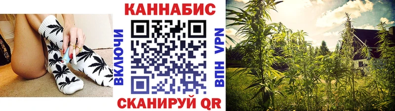 Шишки марихуана THC 21%  купить   Фатеж 
